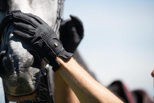 Roeckl Riding Gloves Faux Leather Unisex-7