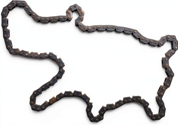 Yamaha Cam Chain Powersports Wheel Chain-2