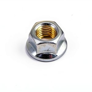 Kawasaki Stainless Steel Flange Fastener-0